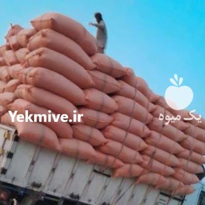 کاه نرم در قروه در گروه خوراک دام و طیور در یکمیوه -عکس1