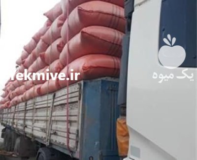 کاه نرم در قروه در گروه خوراک دام و طیور در یکمیوه -عکس2