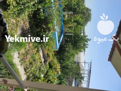 باغ ویلا و گلخانه در مراغه در گروه اجاره فروش گلخانه در یکمیوه -عکس3