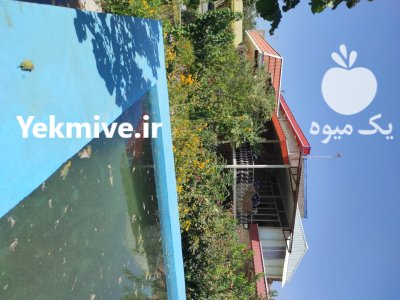 باغ ویلا و گلخانه در مراغه در گروه اجاره فروش گلخانه در یکمیوه -عکس4