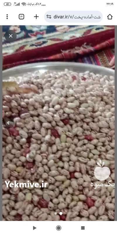 ماش تازه در اهر  در گروه خرید و فروش غلات و حبوبات در یکمیوه -عکس1