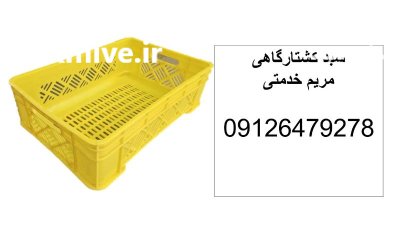 فروش سبد کشتارگاهی سبد 1700 گرمی در تهران در گروه خرید و فروش انواع سبد در یکمیوه -عکس1