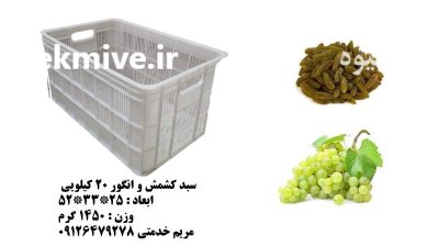 فروش سبد کیلویی انگور سبد کشمش در خلیل آباد در گروه خرید و فروش انواع سبد در یکمیوه -عکس1