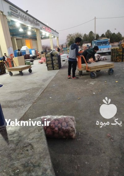 پذیرش انواع میوه در میدان تره بار در یزد در گروه حق العمل کاری محصولات کشاورزی در یکمیوه -عکس1