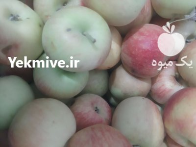 سیب زیر درختی با کیفیت با تناژ در تبریز در گروه خرید و فروش سیب در یکمیوه -عکس1
