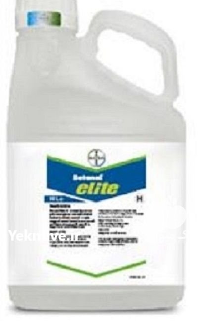 قارچ کش فروش سم الیت در باقرشهر در گروه خرید و فروش انواع سم در یکمیوه -عکس1