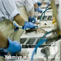 تولید و فروش ماهی منجمد فله در جونقان در گروه خرید و فروش انواع ماهی در یکمیوه