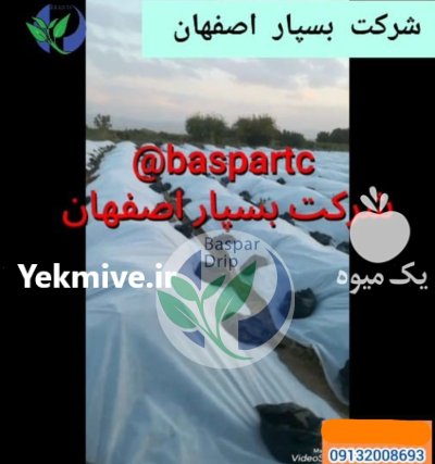 کاور های ضد سرما در همدان در گروه خرید و فروش انواع پوشش ها در یکمیوه -عکس1