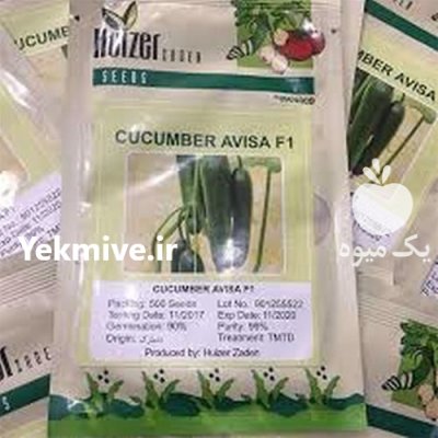 بذر خیار گلخانه ای آویسا در آبدانان در گروه خرید و فروش بذر خیار در یکمیوه -عکس1