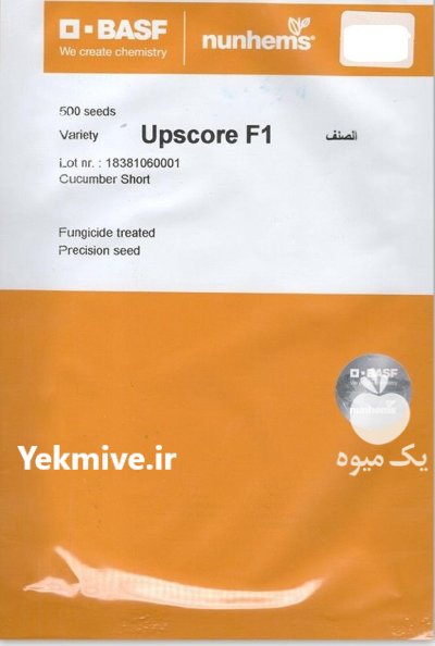 بذر خیار گلخانه ای آپ اسکور در باجگیران در گروه خرید و فروش بذر خیار در یکمیوه -عکس1