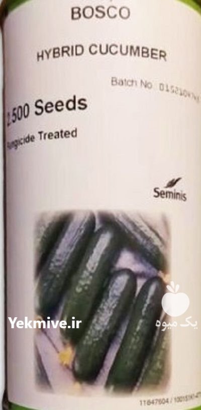 بذر خیار بوسکو در آسمان آباد در گروه خرید و فروش بذر خیار در یکمیوه -عکس1