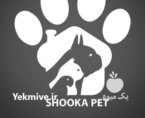 فروش پت شاپ ها در تهران در گروه انواع محصولات کنسروی در یکمیوه -عکس1