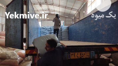 تفاله سیب در گنبد کاووس در گروه خوراک دام و طیور در یکمیوه -عکس3