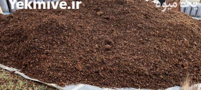 تفاله سیب در گنبد کاووس در گروه خوراک دام و طیور در یکمیوه -عکس1