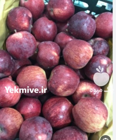 فروش سیب قرمز سمیرم در اصفهان در گروه خرید و فروش سیب در یکمیوه -عکس1