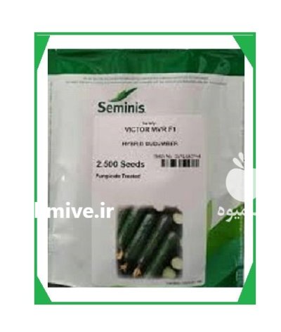 بذر خیار ویکتور سمینیس در اصفهان در گروه خرید و فروش بذر خیار در یکمیوه -عکس1