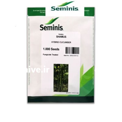بذر خیار گلخانه ای شاموس سمینیس در باقرشهر در گروه خرید و فروش بذر خیار در یکمیوه -عکس1