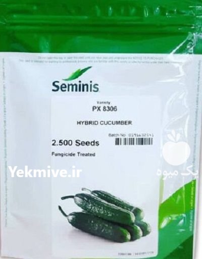 بذر خیار 8306 سمینیس در بجنورد در گروه خرید و فروش بذر خیار در یکمیوه -عکس1