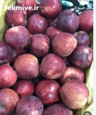 فروش سیب قرمز سمیرم در اصفهان در گروه خرید و فروش سیب در یکمیوه