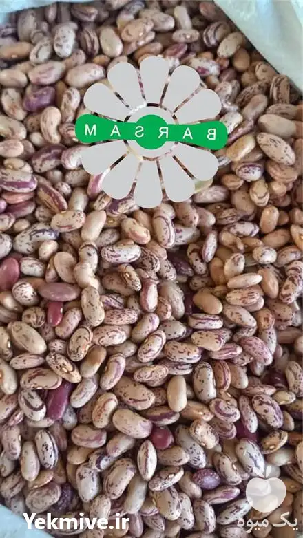 قیمت خرید عمده حبوبات در خمین در گروه خرید و فروش غلات و حبوبات در یکمیوه -عکس1