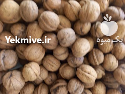 گردو با کیفیت پوست نازک در کرمانشاه در گروه خرید و فروش گردو در یکمیوه -عکس1