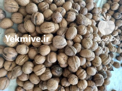 گردو با کیفیت پوست نازک در کرمانشاه در گروه خرید و فروش گردو در یکمیوه -عکس2