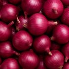 پياز قرمز در بندرعباس در گروه خرید و فروش پیاز در یکمیوه