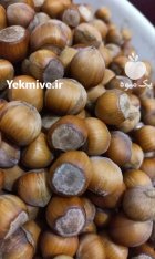 فندوق درجه یک اشکور 2 تن در قزوین در گروه خرید و فروش فندق در یکمیوه