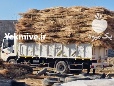 فروش جارو شهرداری در تهران در گروه خرید و فروش انواع چوب در یکمیوه -عکس4