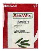 بذر خیار بومبای در اندیشه در گروه خرید و فروش بذر خیار در یکمیوه