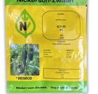 بذر خیار 485 نیکرسون در سیف آباد در گروه خرید و فروش بذر خیار در یکمیوه