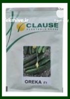 فروش بذر خیار اورکا در باخرز در گروه خرید و فروش بذر خیار در یکمیوه