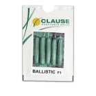 بذر خیار بالستیک کلوز در چهارباغ در گروه خرید و فروش بذر خیار در یکمیوه