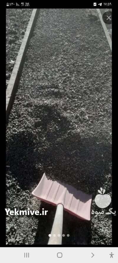 خریداری کود کبوتر وحشی سوله شیروانی در کرمانشاه در گروه خرید و فروش کود کبوتر در یکمیوه -عکس1