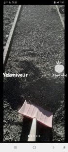 خریداری کود کبوتر وحشی سوله شیروانی در کرمانشاه در گروه خرید و فروش کود کبوتر در یکمیوه