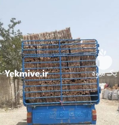 دری کاهو دری جعبه کاهو درب در محمدشهر در گروه خرید و فروش انواع چوب در یکمیوه -عکس1