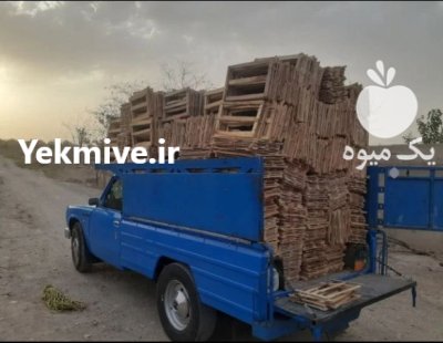 دری کاهو دری جعبه کاهو درب در محمدشهر در گروه خرید و فروش انواع چوب در یکمیوه -عکس3