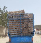 دری کاهو دری جعبه کاهو درب در محمدشهر در گروه خرید و فروش انواع چوب در یکمیوه