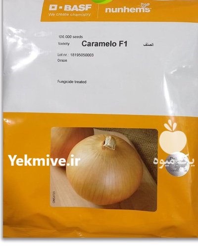 بذر پیاز زرد کاراملو نانهمز در چوار در گروه خرید و فروش بذر پیاز در یکمیوه -عکس1