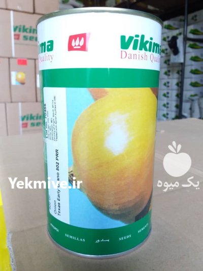 بذر پیاز ویکیما در چهارباغ در گروه خرید و فروش بذر پیاز در یکمیوه -عکس1