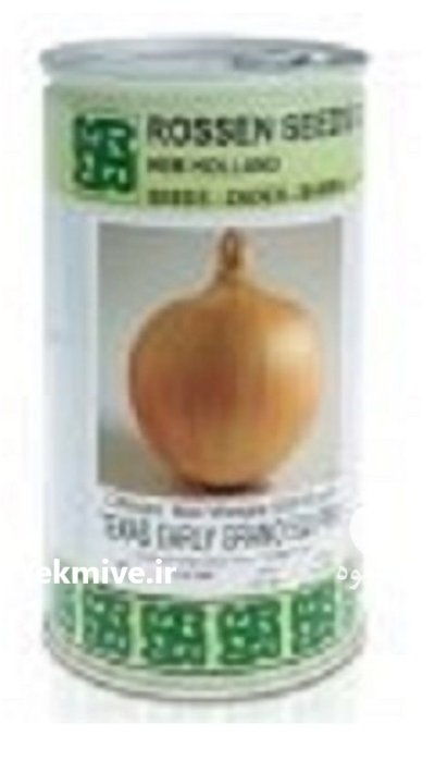 بذر پیاز گرانو تگزاس ارلی روزن در آسمان آباد در گروه خرید و فروش بذر پیاز در یکمیوه -عکس1