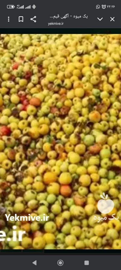فروش سیب ضایعات در آباده در گروه خرید و فروش سیب در یکمیوه -عکس1