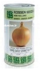 بذر پیاز گرانو تگزاس ارلی روزن در آسمان آباد در گروه خرید و فروش بذر پیاز در یکمیوه