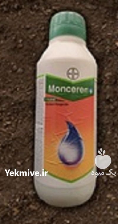 قارچ کش مونسرن در باقرشهر در گروه خرید و فروش انواع سم در یکمیوه -عکس1