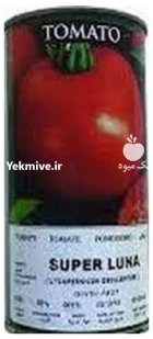 بذر گوجه سوپرلونا در پیشوا در گروه خرید و فروش بذر گوجه در یکمیوه