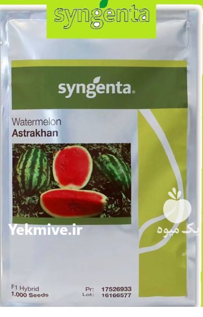 بذرهندوانه آستاراخان استراخان در زاهدان در گروه خرید و فروش بذر هندوانه در یکمیوه -عکس1