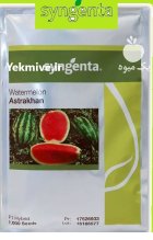 بذرهندوانه آستاراخان استراخان در زاهدان در گروه خرید و فروش بذر هندوانه در یکمیوه