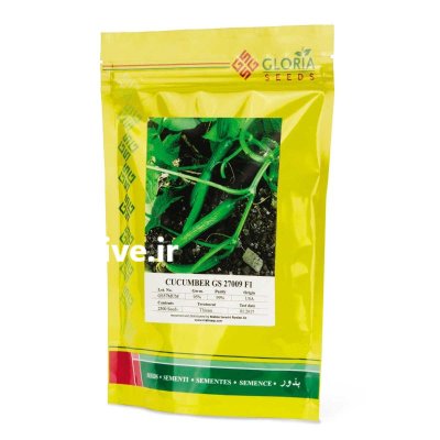 بذر خیار گلوریا ٫ 009 در آبگرم در گروه خرید و فروش بذر خیار در یکمیوه -عکس1