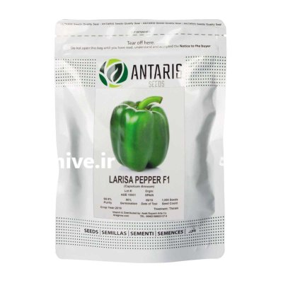 بذر فلفل دلمه لاریسا در شیراز در گروه خرید و فروش بذر فلفل در یکمیوه -عکس1