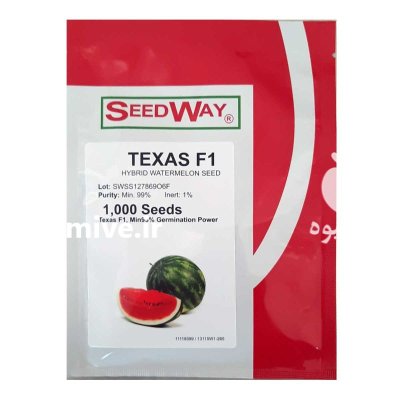 بذر هندوانه تگزاسf 1 در شیراز در گروه خرید و فروش بذر هندوانه در یکمیوه -عکس1